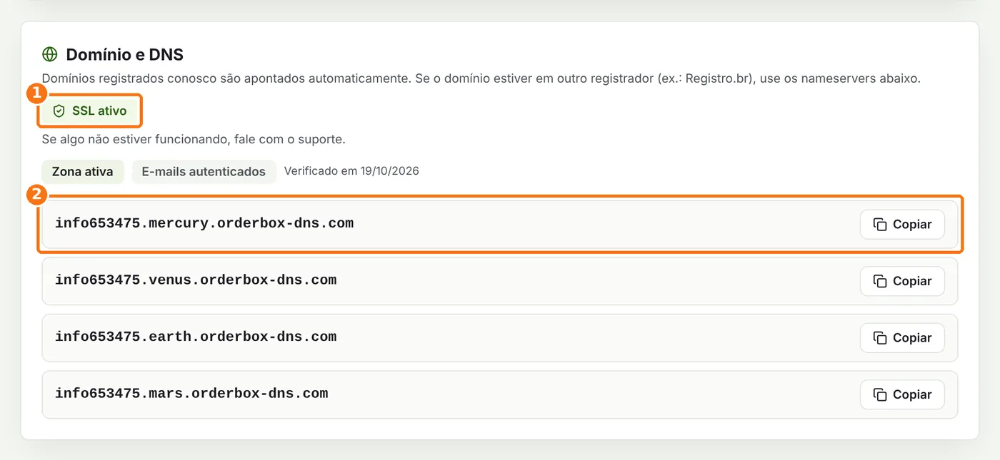 Quadro Domínio e DNS com o selo SSL ativo e os servidores DNS destacados